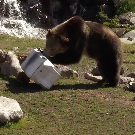 Wyld Gear 25 Quart Hard Cooler