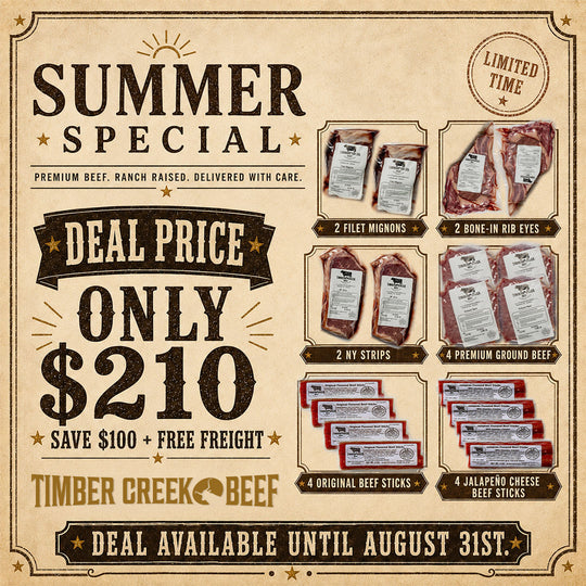 Summer Special | $100 OFF Limited Time Offer